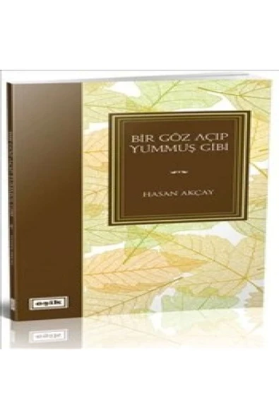 Bir Göz Açıp Yummuş Gibi | Hasan Akçay ürün görseli 1