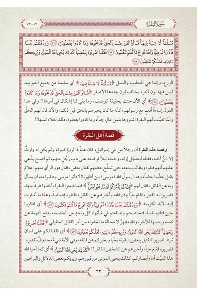 Et-Tefsîru’l-Vadıhu’l-Müyesser - Resim 2
