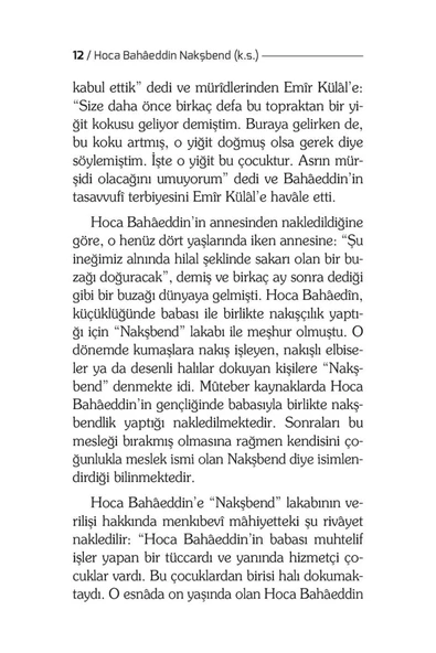 Hoca Bahaeddin Nakşbend - Prof. Dr. Necdet Tosun - Resim 4