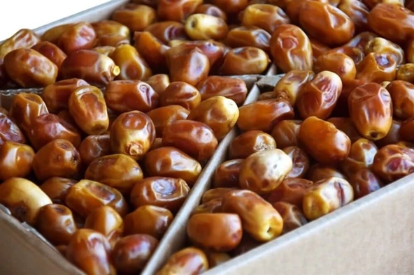 Yeni Mahsül Yumuşak Bağdat Hurması 5KG ürün görseli 1