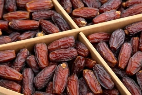 Yeni Mahsül İri boy Medine Mebrum Hurması 5KG ürün görseli 1