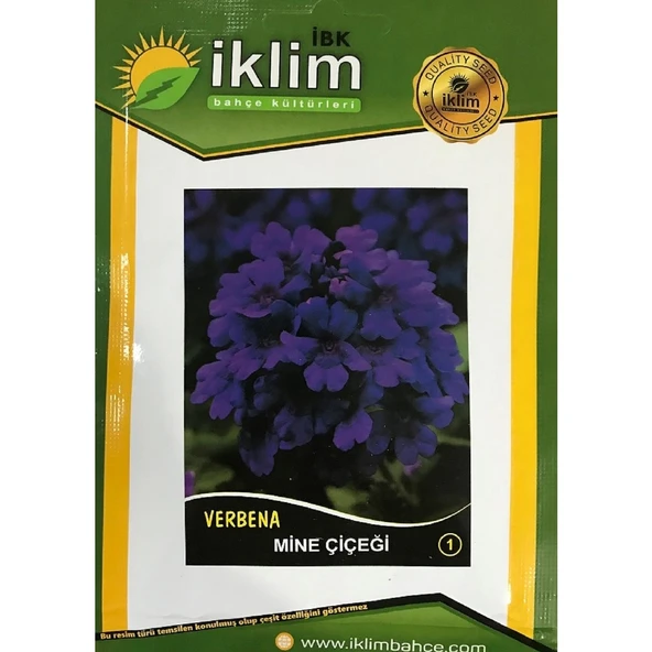 Mine Çiçeği Tohumu-1 Mor (Takribi 40 Adet Tohum) ürün görseli 1