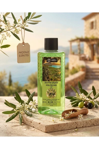 Welive Zeytin Çiçeği Kolonyası 400 ML - %80 Alkol, Ferahlatıcı Doğal Koku ürün görseli 1
