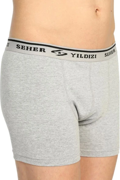 Seher Yıldızı Seher Erkek Gri Likralı Boxer Yeni Sezon ürün görseli 1