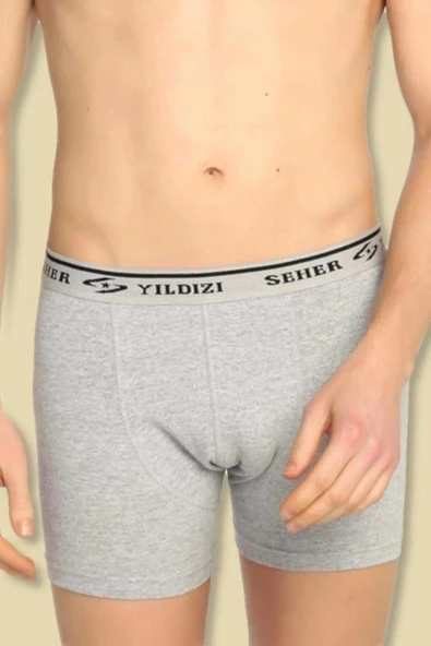Seher Yıldız 3 ' Lü 3 Renkli 3 Adet Likralı Erkek Boxer ürün görseli 1