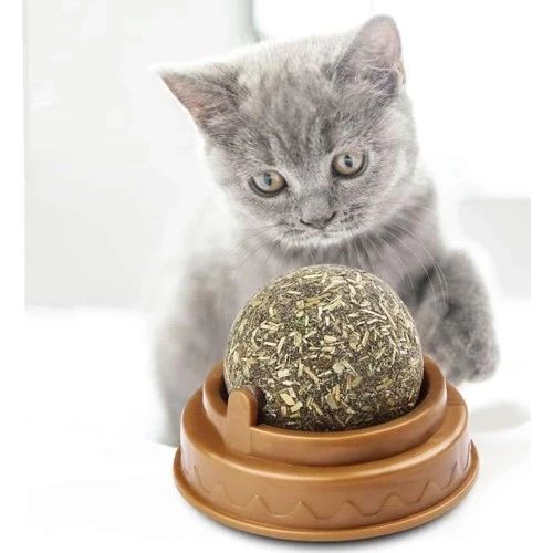Kedi Nanesi Oyun Topu - Resim 4