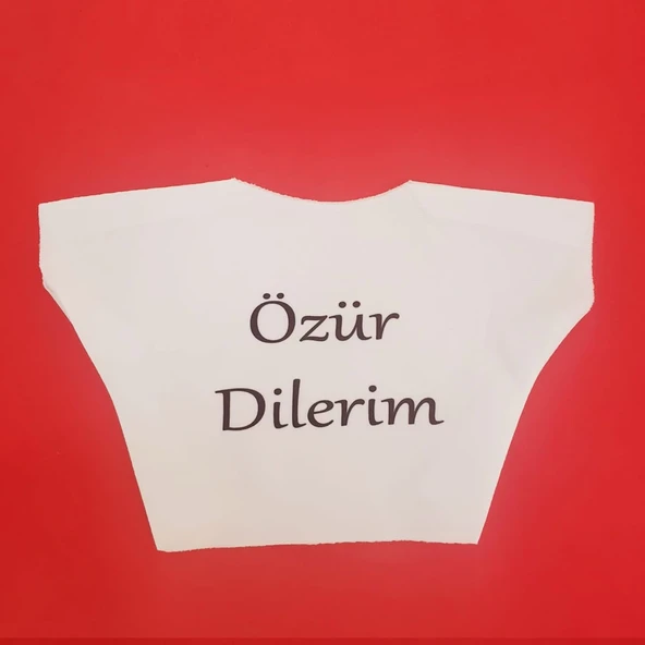 Özür Dilerim Yazılı Peluş Oyuncak Ayı Tişörtü ürün görseli 1