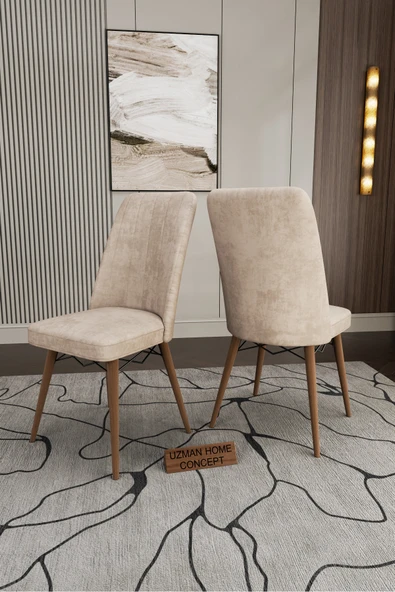 UZMHOME 4 ADET MUTFAK SALON BAHÇE SANDALYESİ ürün görseli 1