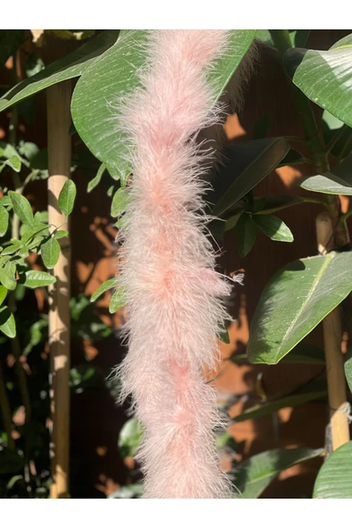 Ciciş Aksesuar TÜY ŞERİT 1,80 CM - Resim 3