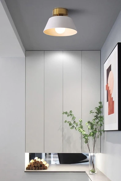 NESTVİBE Dolly Modern Hol Koridor Giriş Için Tekli Plofonyer Metal Avize ürün görseli 1