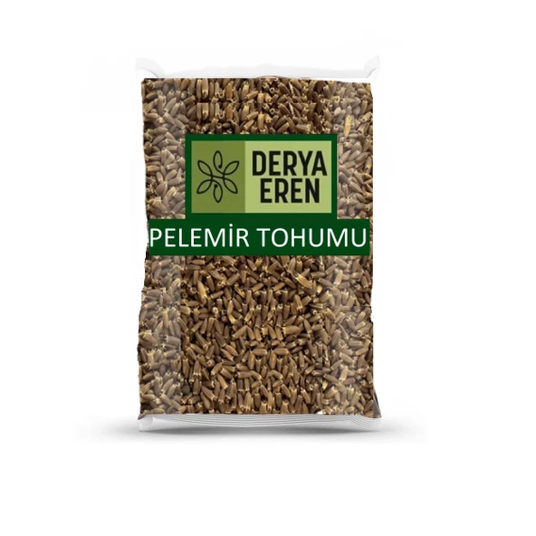 Pelemir Tohumu (Cephalaria syriaca L.) 500gr, Derya Eren ürün görseli 1