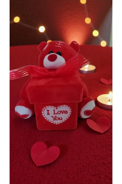 FAMEMUS ACCESSORY Sevgililer Gününe Özel I LOVE YOU Kutulu Ayıcık Boyut:15cm ürün görseli 1