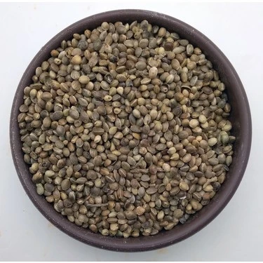 Kendir ( ÇEDENE )Tohumu 1 KG ürün görseli 1