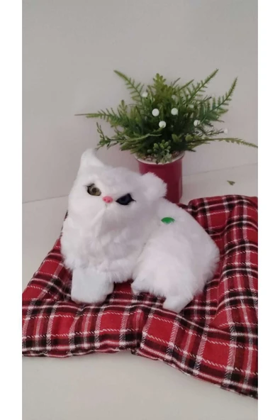 FAMEMUS ACCESSORY Sevimli Sesli Yatakta Oturan Kedicik Orta Boy 20 CM MİNDER İLE BİTİŞİKTİR ürün görseli 1