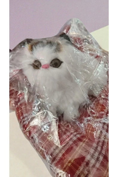 FAMEMUS ACCESSORY Sesli Kendinden yataklı yapışık Kedicik ürün boyutu yatak dahil 23cm*23 cm ürün görseli 1