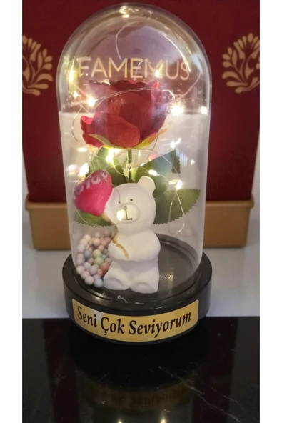 FAMEMUS ACCESSORY Seni Seviyorum Güllü Led ışıklı Fanus 25 cm ürün görseli 1