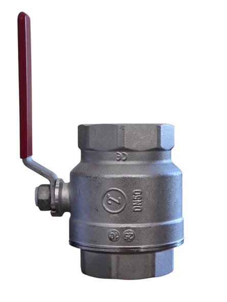 Giacomini 2'' Entustiel Kuresel Vana - Resim 2