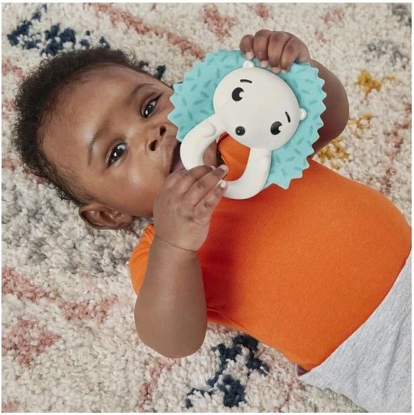 Fisher-Price Hold And Jingle Hedgehog Dişlik Ve Çıngırak, 3 Ay+ ürün görseli 1