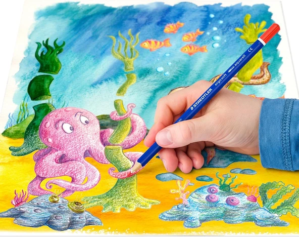Staedtler 156 Sb24 Ergosoft Kuru Boya Kalemi - Resim 5