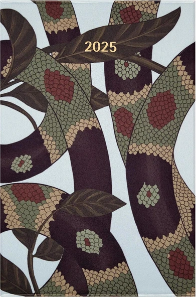 Moleskine Özel Seri Snake Leaves 12 Ay Haftalik Ajanda + Vegea Mamba Defter Seti L Boy - Kutulu ürün görseli 1