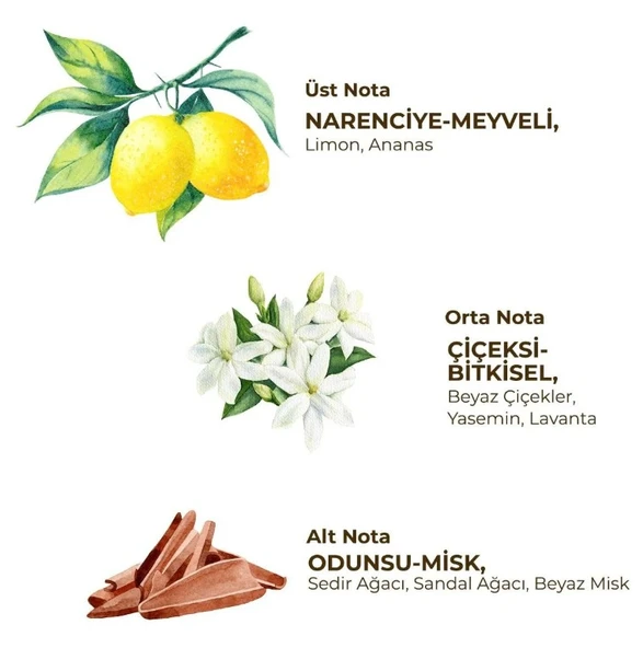 Kadın Roll On Deodorant 75 ml Fresh - Resim 2