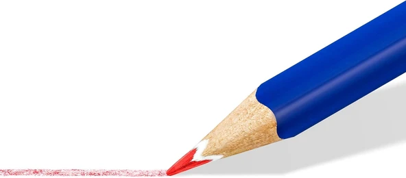 Staedtler 156 Sb24 Ergosoft Kuru Boya Kalemi - Resim 4