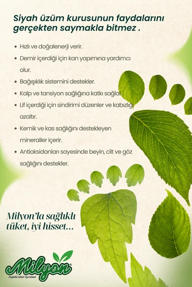 Siyah Üzüm Kurusu Çekirdekli 500g - Resim 2