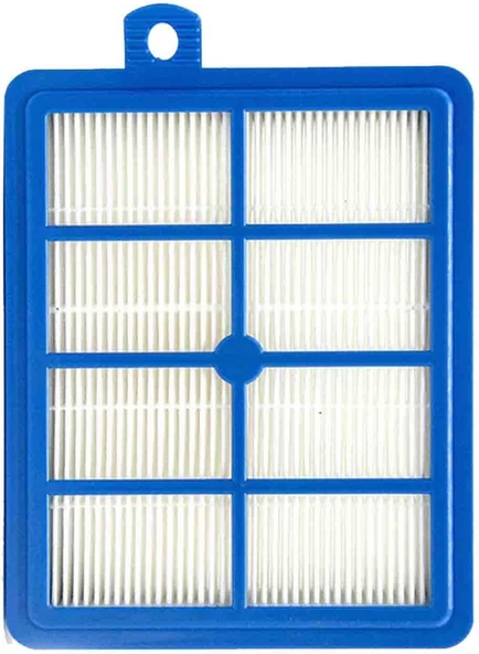 Hepa 13 Tek Pure Pd91-4 Electrolux Pure Pd91-4Mgt Hepa Filtre ürün görseli 1