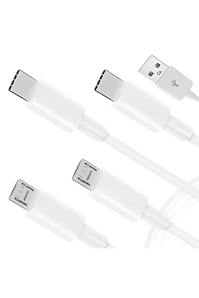 Bastore 4 in 1 Şarj Kablosu 2x Type-C 2x Micro USB Çoklayıcı 1 Metre ürün görseli 1