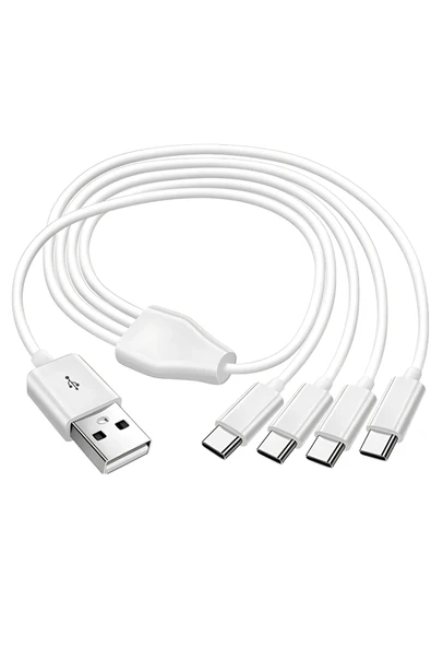 Bastore 4 in 1 USB Tip-C Şarj Kablosu Çoklayıcı 1 Metre ürün görseli 1