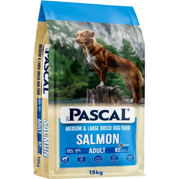 Pascal Somonlu Orta ve Büyük Irk Yetişkin Köpek Maması 15 Kg ürün görseli 1