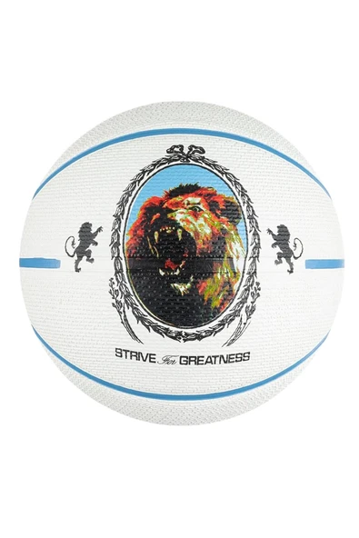 Nike N.100.4372.086.07 Playground 2.0 8P L Unisex Basketbol Topu ürün görseli 1
