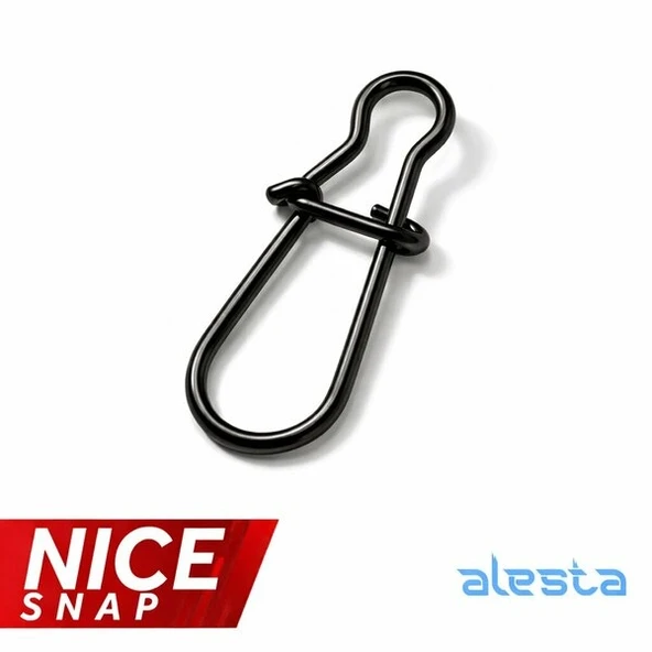 ALESTA NICE KLİPS BN NO:00 20Lİ PAKET - Resim 2