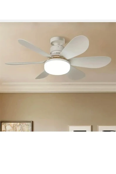 Cata Cata Lodos Fan Led 62w Kumandalı Işıklı Vantilatör CATA Ct-1154 ürün görseli 1
