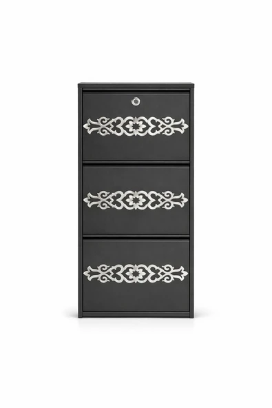 3'LÜ KİLİTLİ ANTRASİT GÜMÜŞ DESENLİ METAL AYAKKABILIK ürün görseli 1