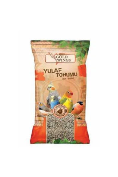 Gold Wings Premium Yulaf Tohumu 300 Gr ürün görseli 1