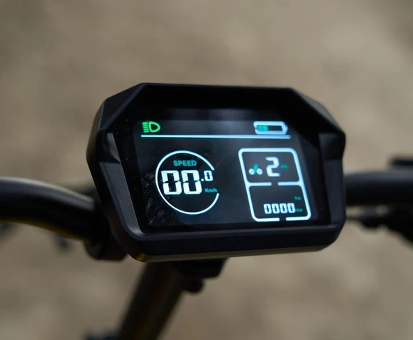 APE RYDER LORİS - Resim 5
