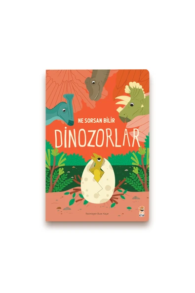 Ne Sorsan Bilir Minik - Benim İlk Dinozor Kitabım ürün görseli 1