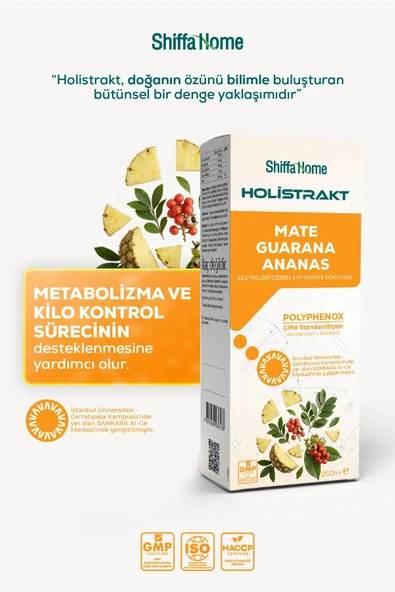 HOLİSTRAKT - Guarana, Mate, Yeşil Çay, Ananas İçeren Sıvı Ekstrat 250 ML ürün görseli 1