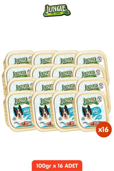 Jungle 16 Adet Tahılsız Somonlu Köpek Yaş Maması Seti - 100gr x 16 Pate Alucup ürün görseli 1