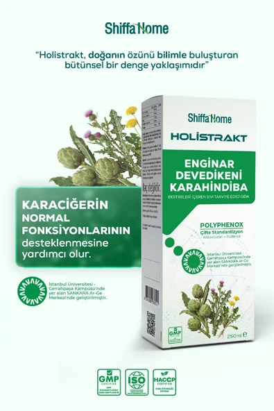 HOLİSTRAKT - Enginar, Devedikeni ve Karahindiba İçeren Sıvı Ekstrat 250 ML ürün görseli 1