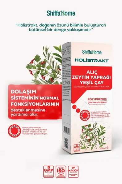 HOLİSTRAKT - Alıç, Zeytinyaprağı ve Yeşilçay İçeren Sıvı Ekstrakt 250 ML ürün görseli 1