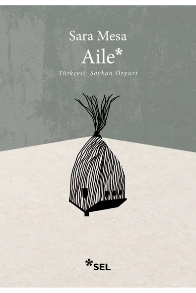 Aile / Sara Mesa / Sel Yayıncılık / 9786256462731 ürün görseli 1