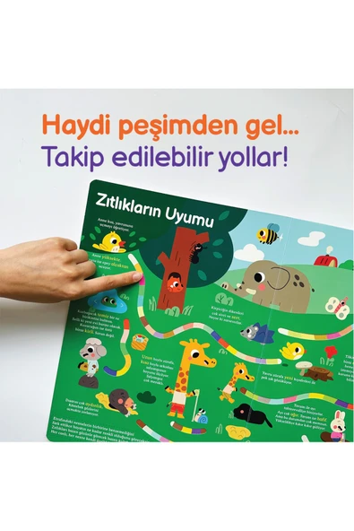Genel Kültür Kitabım-TANIYORUM - Resim 4