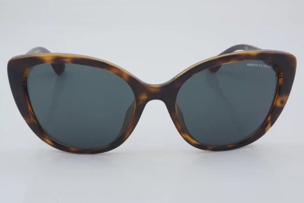 Armani Exchange AX 4111SU 821387 54 - 01 Güneş Gözlüğü ürün görseli 1