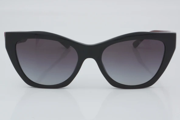 Emporio Armani EA 4176 5017/8G 54 - 01 Güneş Gözlüğü ürün görseli 1