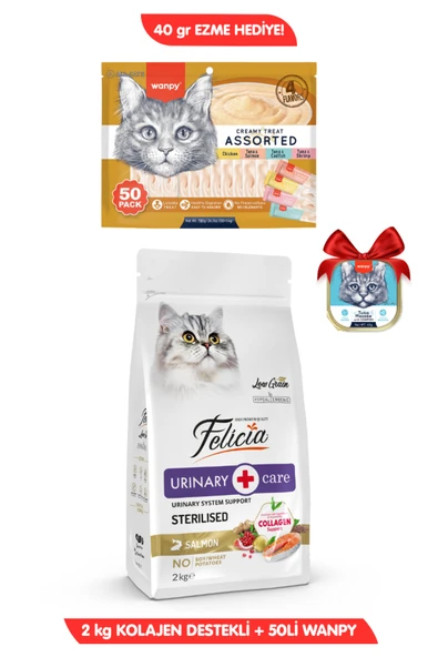 Felicia 3lü SET: Hipoalerjenik Somonlu Kısır Kedi Maması 2KG + 50x14gr Wanpy Krema Kedi Ödülü Ezme Hediyeli! ürün görseli 1