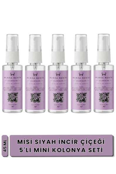 Bursa Şehir Kolonyaları, Misi Siyah İncir Çiçeği Kolonyası, 5'li Mini Set, 45 ml, Sprey ürün görseli 1