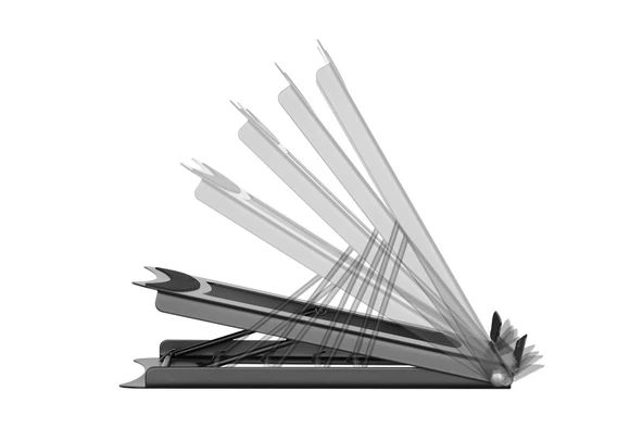 Digitus Notebook Standı Ayarlanabilir (DA-90368) - Resim 3