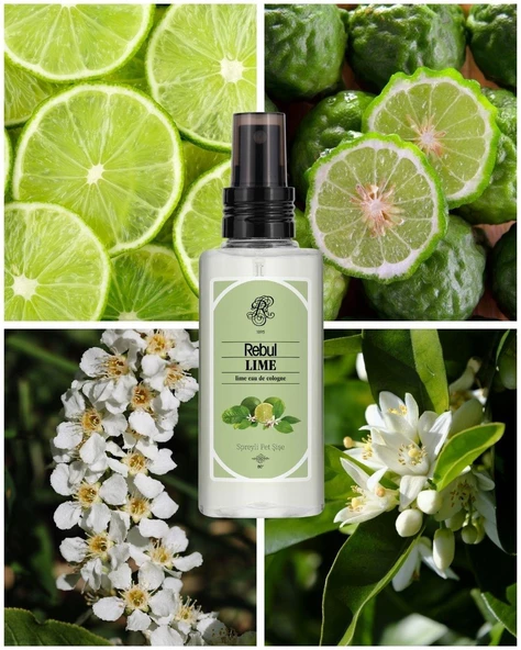 REBUL KOLONYA 125 ML LIME - Resim 3